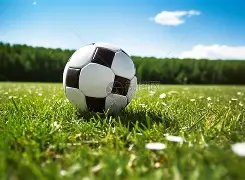 波黑國家隊,與科德羅主,帥分道揚鑣,星空,星空体育,XingKong,星空体育官网