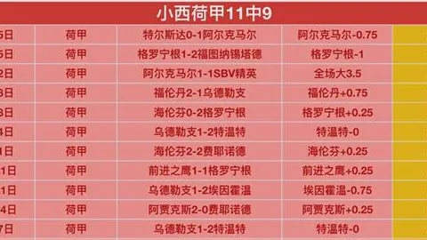 揭开数据深藏与罗马让深的神秘面纱：背后意图大揭秘！